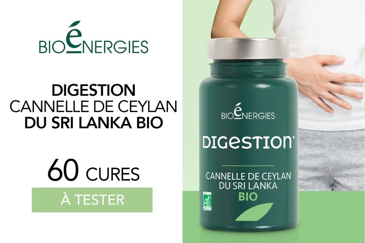 60 Digestion de bioénergies