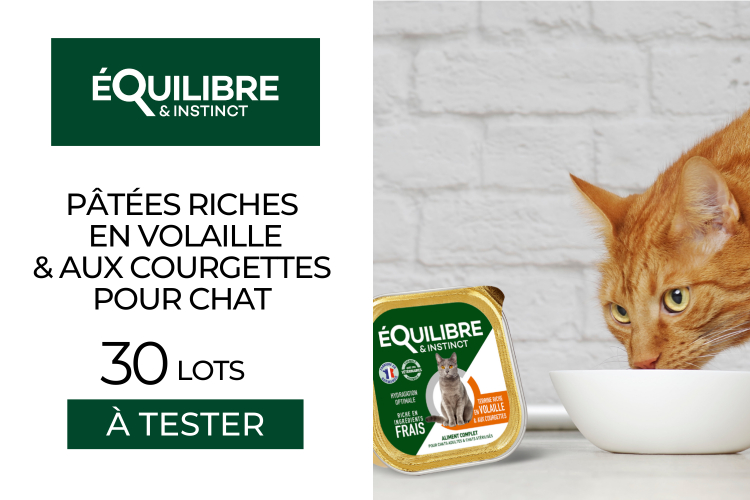 30 Lots de Pâtées Riches en Volaille & aux Courgettes pour chat d'ÉQUILIBRE & INSTINCT à tester !