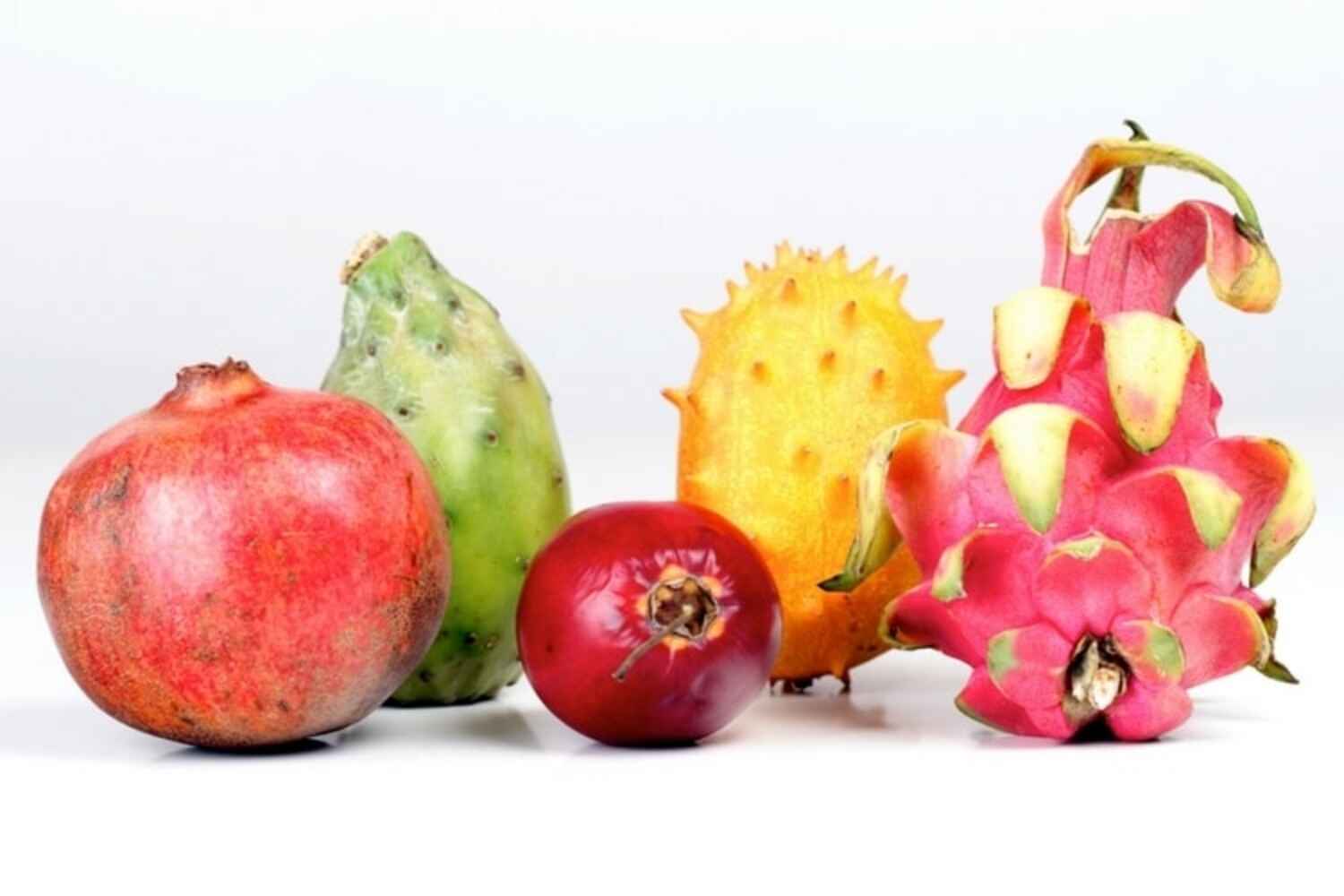 Quelle forme d ongle choisir pour ma manucure quelle forme d ongle choisir