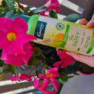 Swatch de Enjoylifepolerina : Bain moussant Be happy, Kneipp