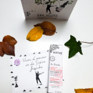 Swatch de Ororebnd : Correcteur Intensif Anti-Imperfections Pur Paradisi, Saeve