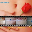 Swatch de cottleya : Méthode Cellublue, CelluBlue