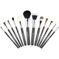 Set de pinceaux maquillage mac