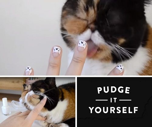 nail art by Pudge The Cat